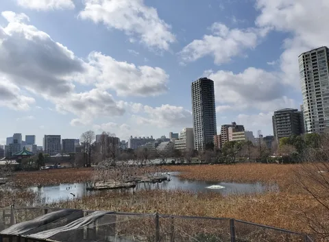 水辺に浮かぶ都市の影
