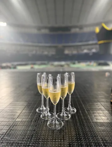 静寂のスタジアムに輝く祝杯
