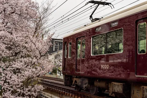春を駆ける茜色の車体