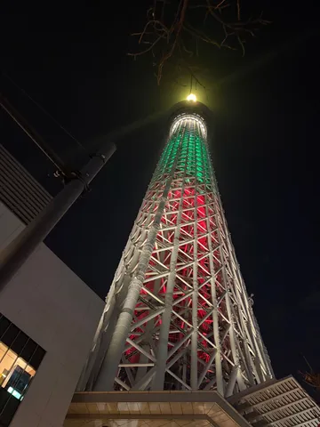 夜空に映える彩りの塔