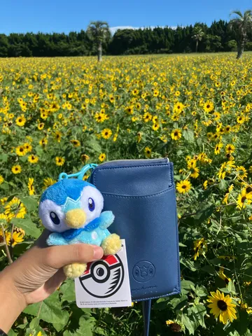 ひまわり畑とピカチュウ
