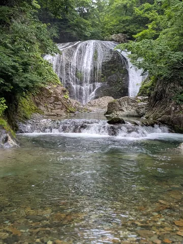 緑深き滝壺の静寂