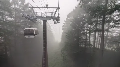 霧の森を滑る空の列車