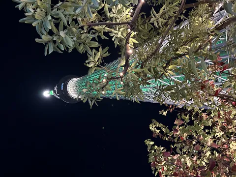 緑に輝く夜のタワー