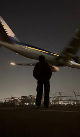 夜空を滑る巨影