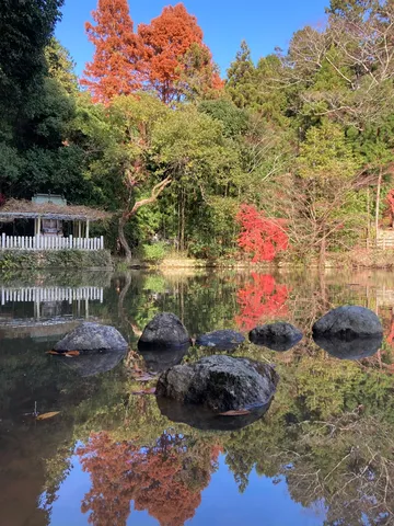 錦秋に染まる水鏡