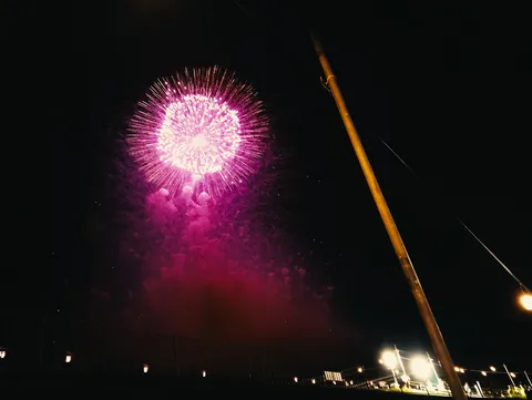 夜空に咲く、紫色の花火