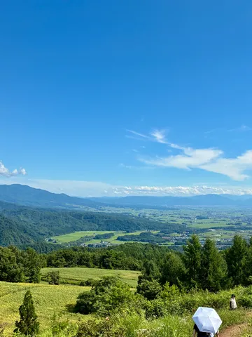 青空に広がる緑の丘