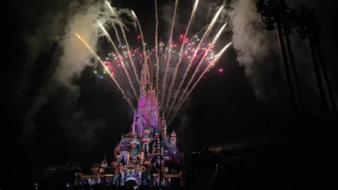 夜空彩る魔法の城と花火