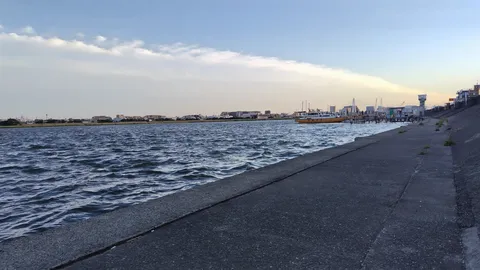 穏やかな水面と都会のコントラスト