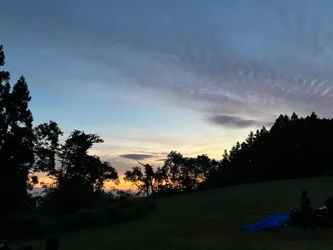 夕暮れの森と静かな草原
