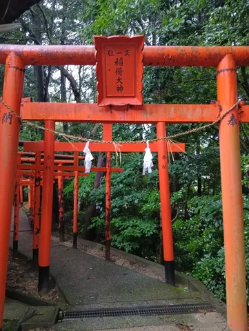 古の鳥居、静寂の参道