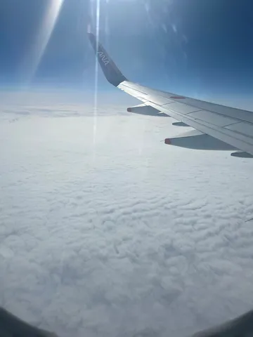 雲海の上、ANAの翼