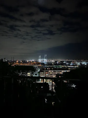 夜景を結ぶ灯の橋