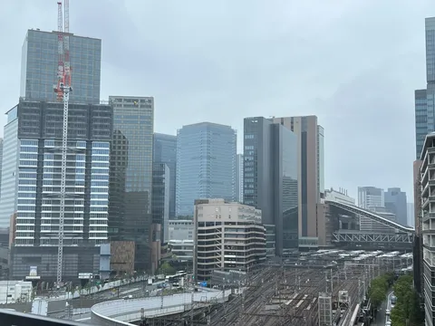 雨雲の下、都市の織りなす線路網