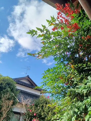 青空に映える赤と緑、そしてアンテナ