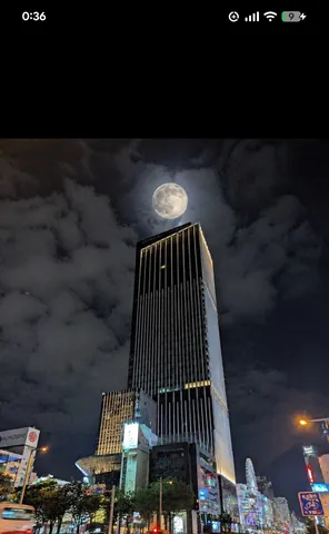 月光と高層の夜景