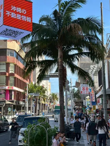南国風の街角と椰子の影