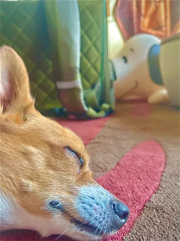眠りへ誘う日常の風景