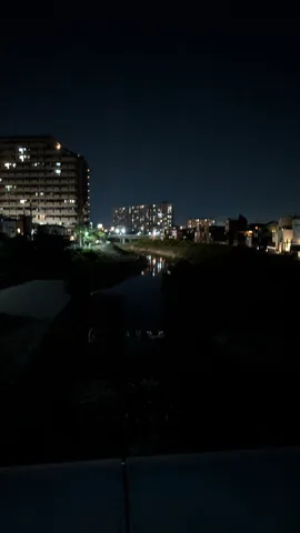 川面に灯る都市の息吹