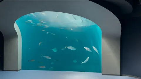 水槽アーチの静かな潮流