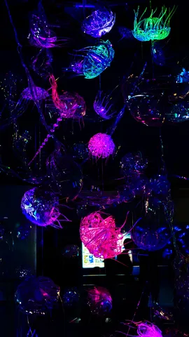 光のクラゲが舞う夜