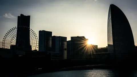 夕焼け舞台の都会の主役たち