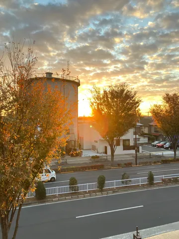 秋空に染まる水塔と街路樹