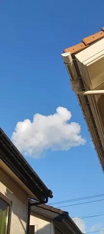 青空と屋根のシンメトリー