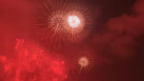 夜空に咲く、燃えるような赤の華