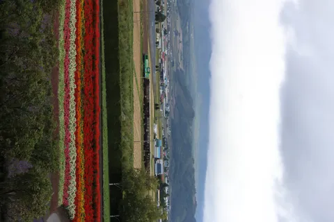 虹色の花畑と遠くの山々