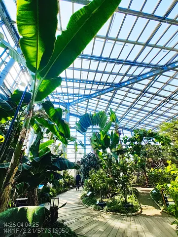 温室に広がる緑の楽園