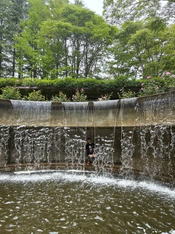 水しぶきと緑のコントラスト