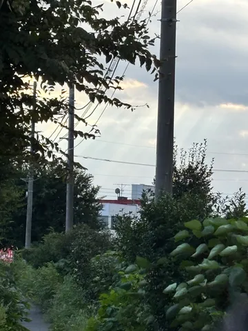 夕映えと電柱の静かな道