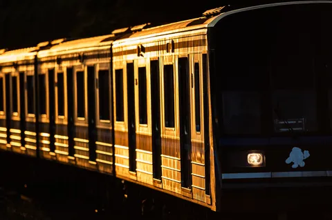 黄金に染まる列車の横顔