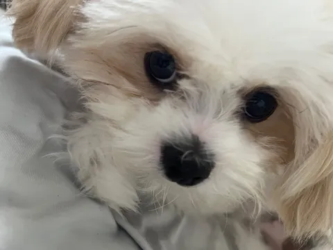 吸い込まれそうな瞳にドキッ