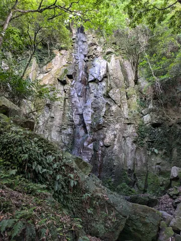 岩壁の緑と滝の囁き