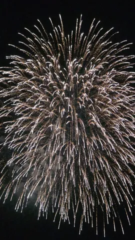 夜空に咲く光の花束
