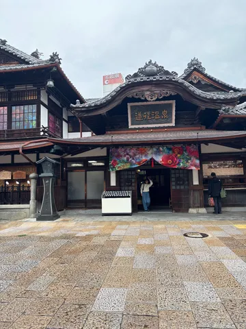 曲線が呼ぶ古さと色彩