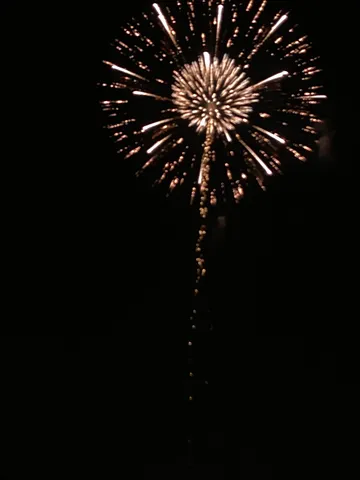 夜空に咲いた一輪の花