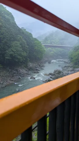 霧の渓谷を渡る緑の流れ