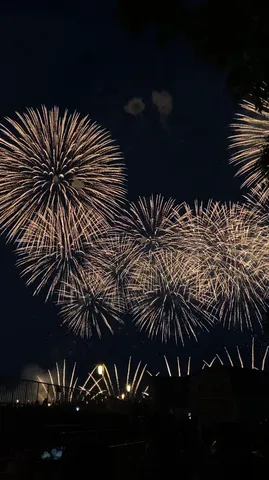 夜空に咲く光の花火