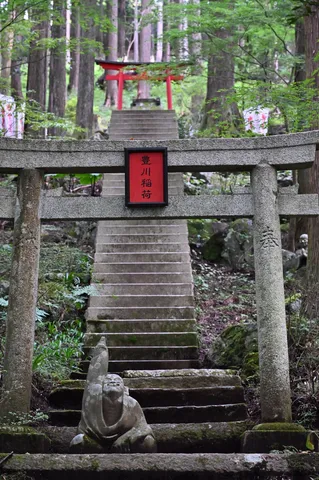 静寂の森に佇む神聖な参道