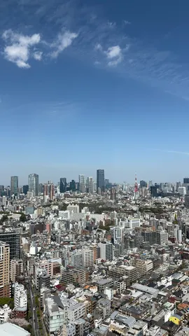 澄みわたる空の下、都会の景色
