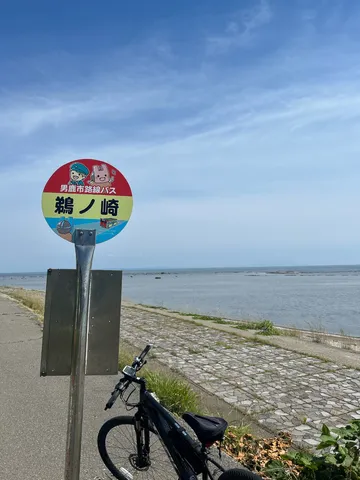 海沿いのバス停と相棒
