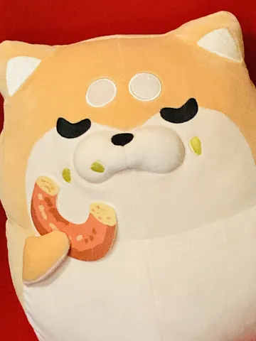ぼんいぬ