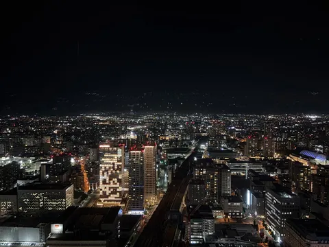 光の絨毯、広がる都市の夢