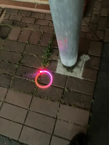 夜道に光る輪っか、怪しい？