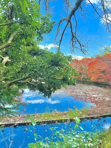 青空と紅葉、水鏡のコントラスト
