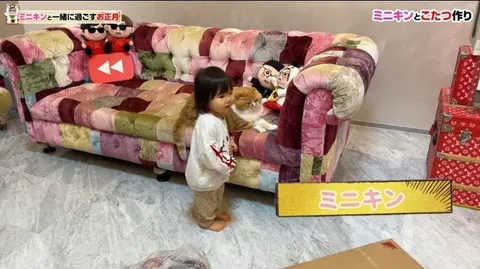 ミニキンと寛ぐおうち時間